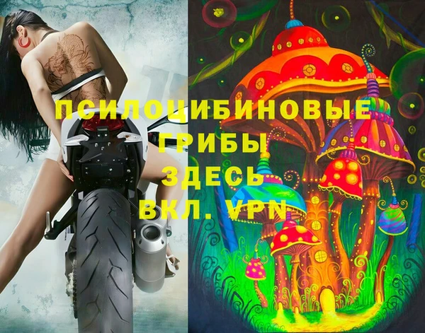 дурь Михайловск