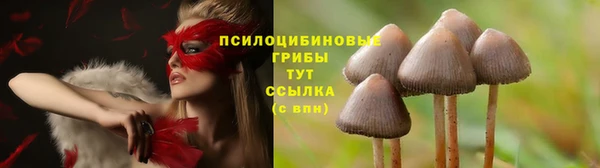 гашишное масло Алексеевка
