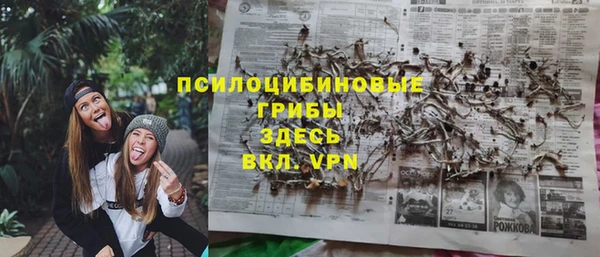 дурь Михайловск