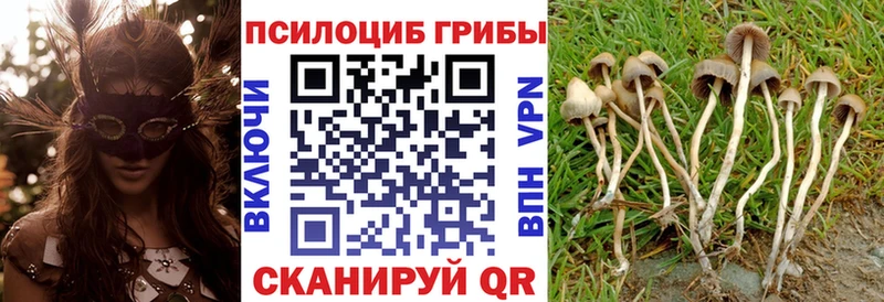 Псилоцибиновые грибы Magic Shrooms  Архангельск 
