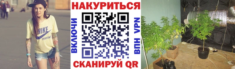 купить наркотики цена  Архангельск  Шишки марихуана конопля 